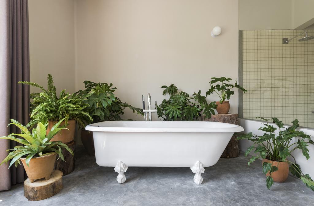 Chaya B&B Boutique Mexico City Exteriör bild