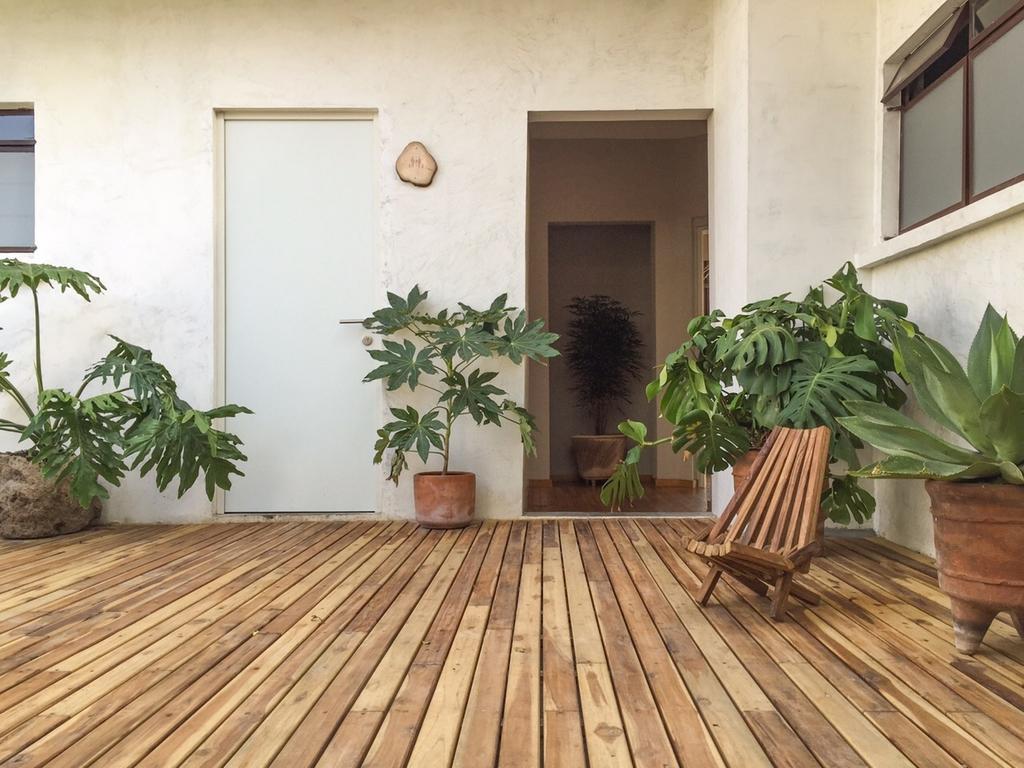 Chaya B&B Boutique Mexico City Exteriör bild