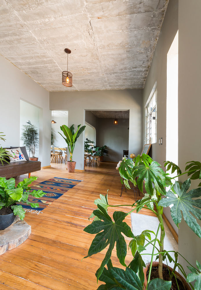 Chaya B&B Boutique Mexico City Exteriör bild