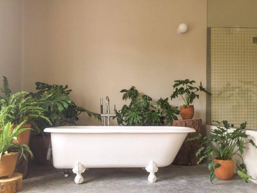 Chaya B&B Boutique Mexico City Exteriör bild